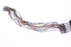 SNUR OCHELAR SN015
