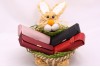 ETUI OCHELAR M2